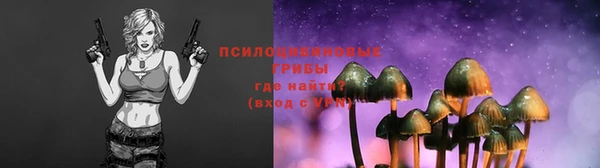 спайс Абинск